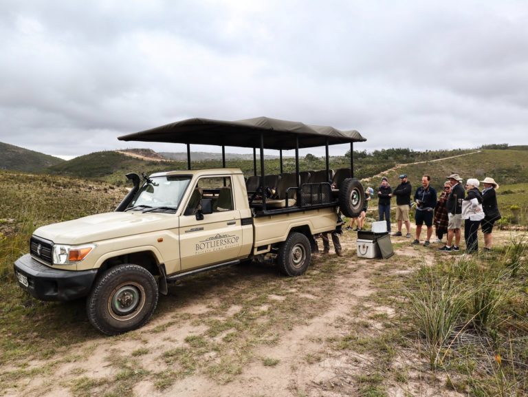 The Best Time to Go on a South African Safari