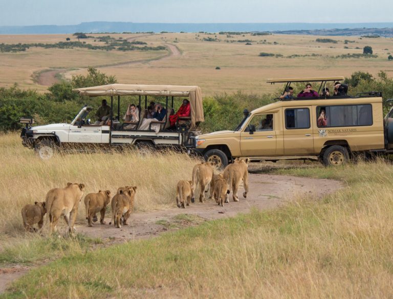 A Short Guide to Masai Mara Safaris