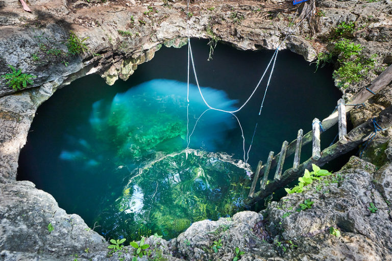 A Short Guide to Cenotes in the Riviera Maya