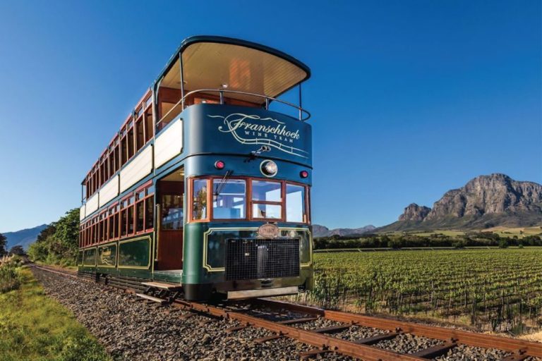5 of the Best Wine Tasting Tours from Cape Town