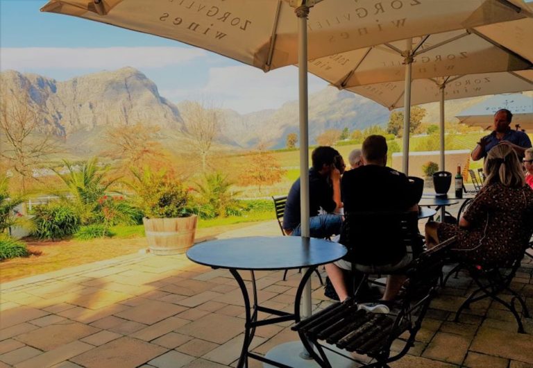 A Comparison of Stellenbosch Wine Tastings & Wine Tours