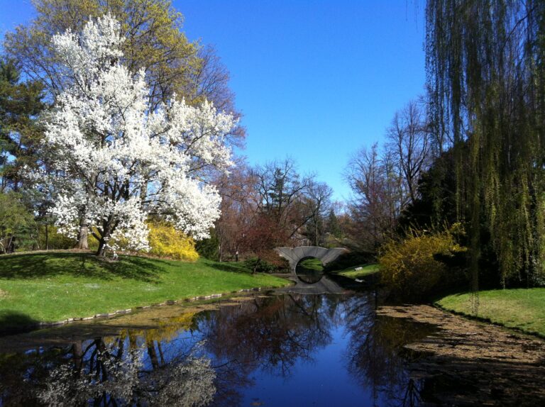 The Most Charming Botanical Gardens in Michigan