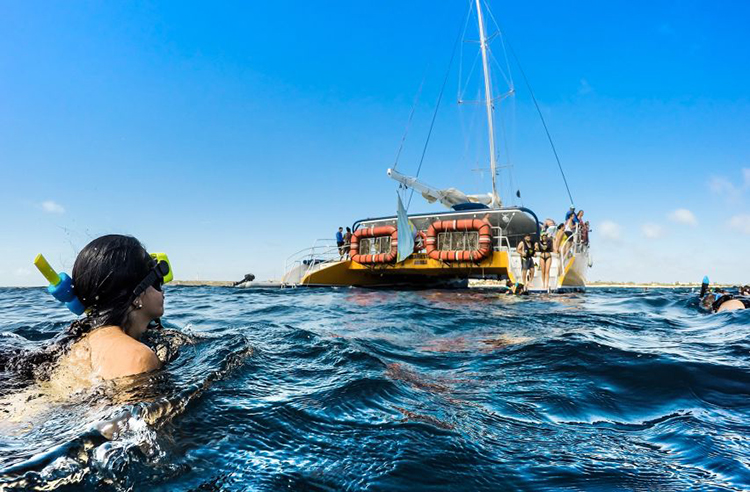 snorkeling excursions in aruba