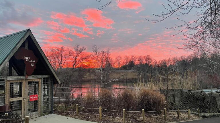 Unique Things to Do in Evansville