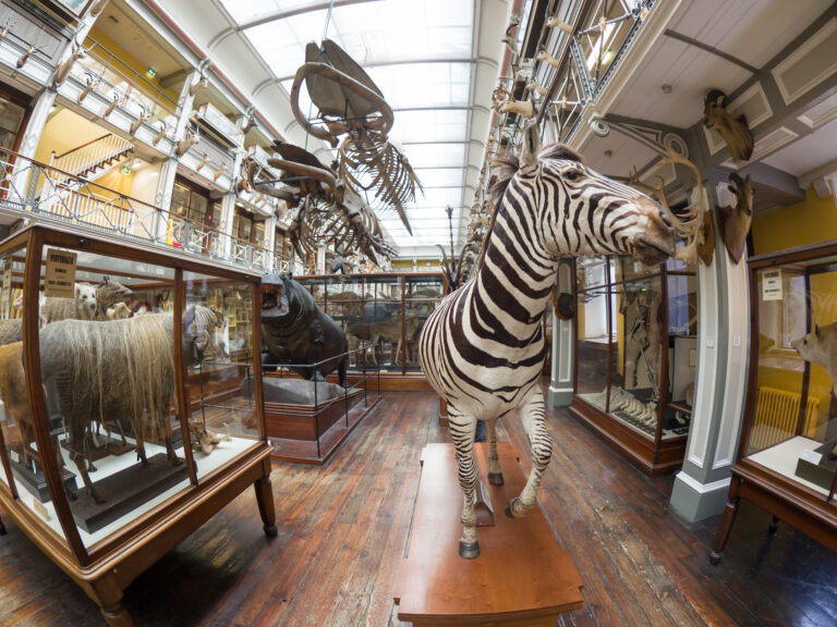 15 Things to Do with Kids in Dublin