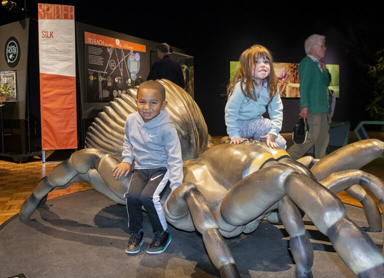 The Best Exhibitions to Discover in Florida this Summer