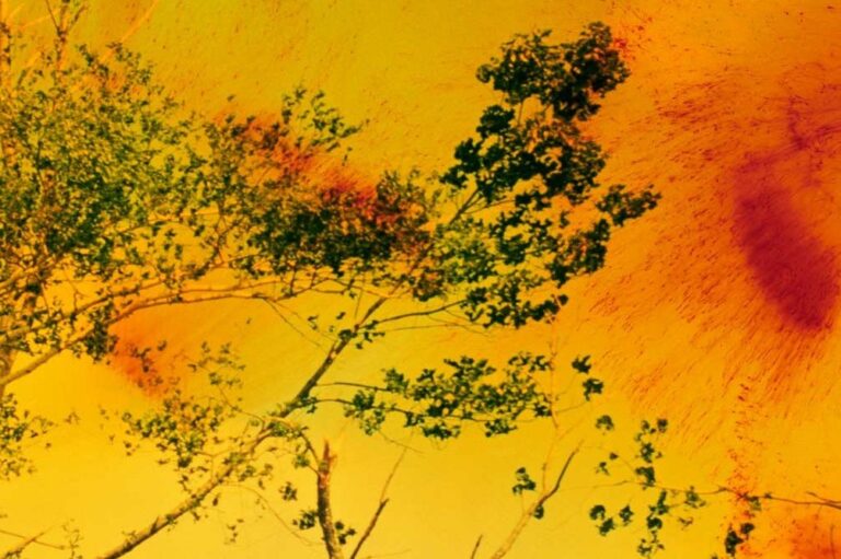 12 Art Exhibitions to Discover in Canada this Summer