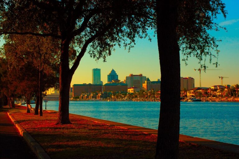 RV Rental in Tampa: The Best Companies