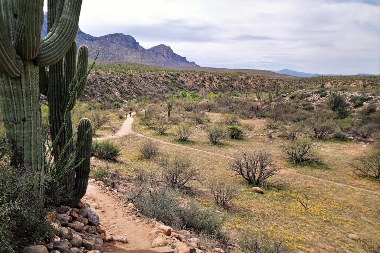 RV Rental in Tucson: The Best Companies