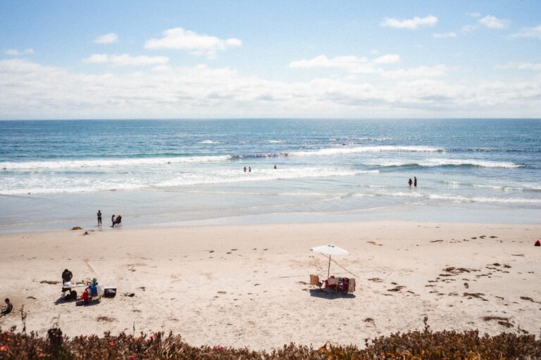 7 Unique Things to Do in Rosarito