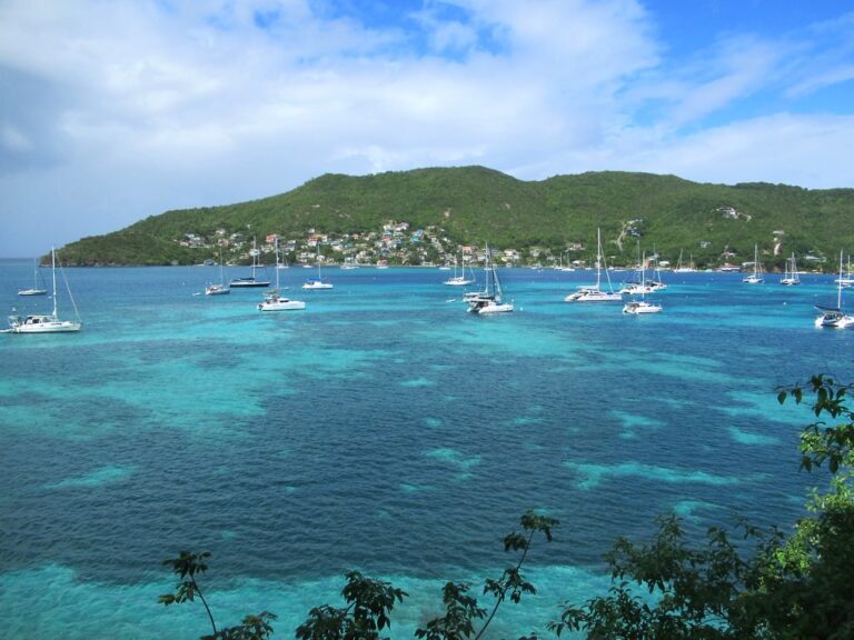 Grenadines Yacht Charter: The Best Companies