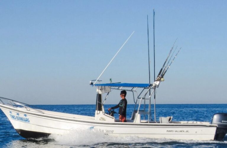 5 of the Best Fishing Charters in Puerto Vallerta