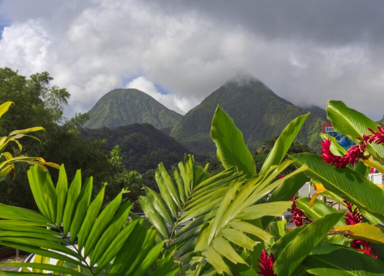 11 Unique Things to do in Martinique