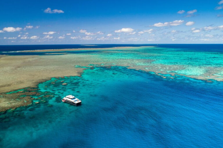 5 of the Best Great Barrier Reef Snorkeling Tours