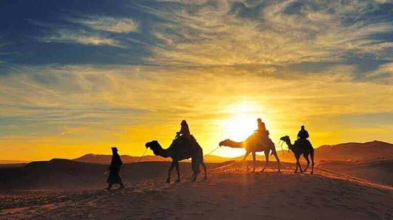 5 of the Best Marrakesh Camel Ride Experiences