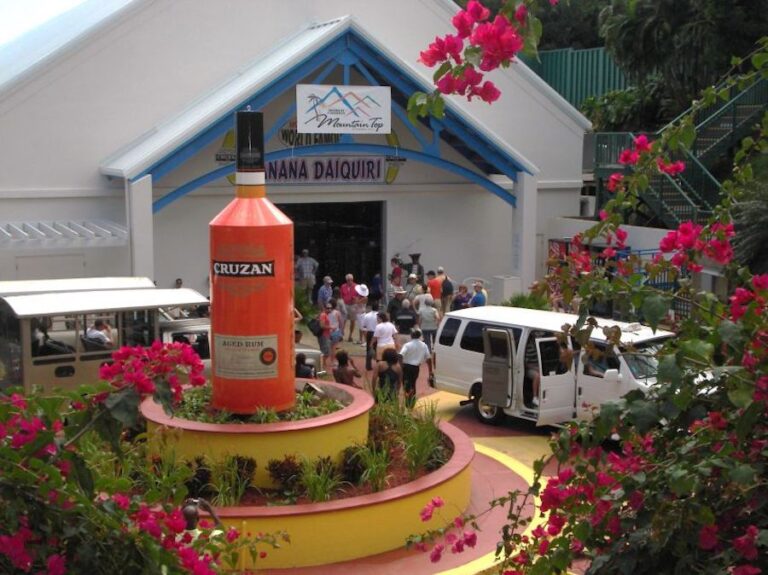 5 of the Best Excursions in St. Thomas