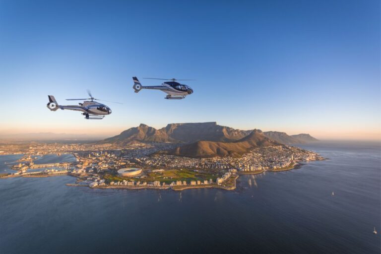 5 of the Best Sightseeing Tours in Cape Town