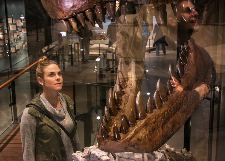 10 Fun Things to Do in Salt Lake City