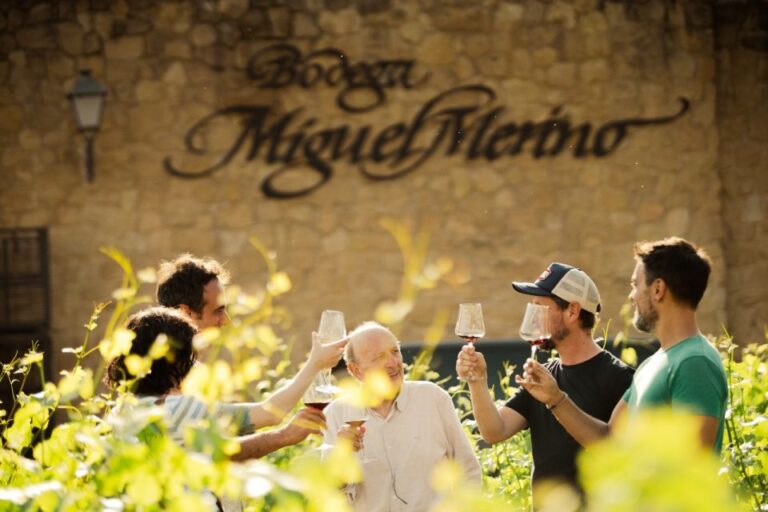 3 of the Best San Sebastian Winery Tours