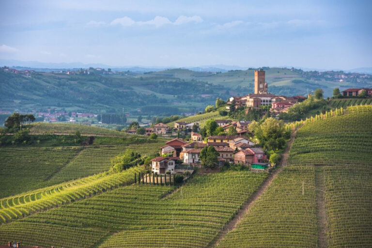 3 of the Best Barolo Wine Tours from Turin