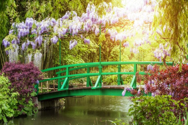 3 of the Best Giverny Tours from Paris