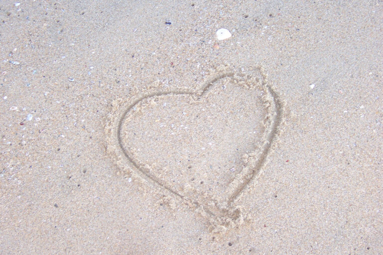 5 of the Best Dating Sites and Apps in Germany