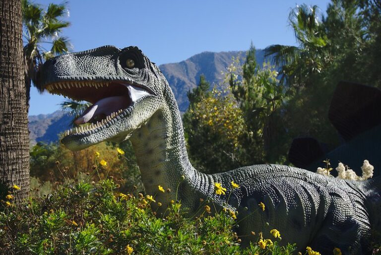 7 Unique Things to Do in the Coachella Valley