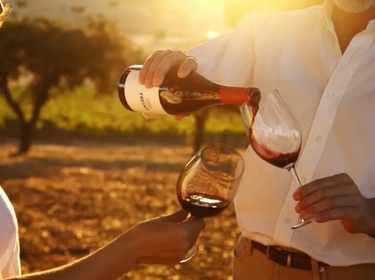 3 of the Best Évora Wine Tastings & Tours