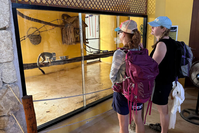 7 Unique Things to Do in and around Akumal