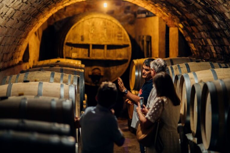 5 of the Best Catalunya Wine Tastings & Tours