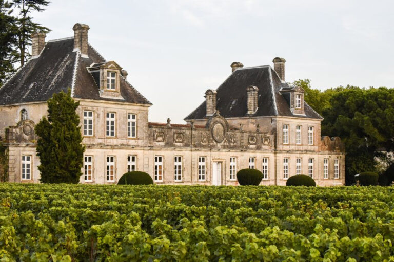 5 of the Best Wine Tasting Tours from Bordeaux