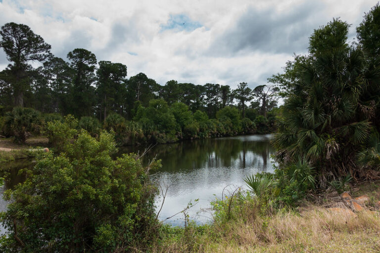 6 Unique Things to Do in Port Charlotte, Florida