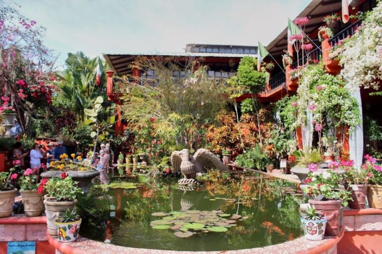 5 Unique Shore Excursions in Puerto Vallarta