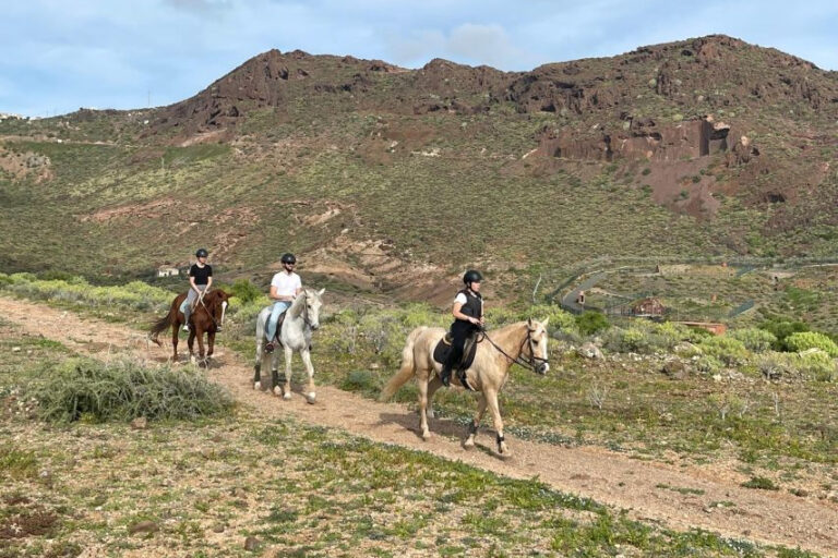 A Comparison of Horse Riding Experiences in Gran Canaria
