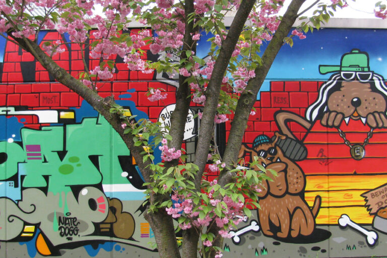 Hamburg: A Short Neighbourhood Guide to St Pauli