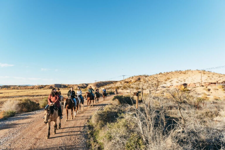 5 Unique Horseback Riding Experiences in Las Vegas
