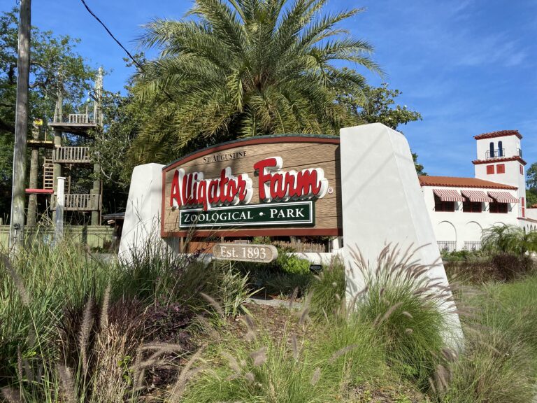 7 Unique Reasons to Visit St Augustine