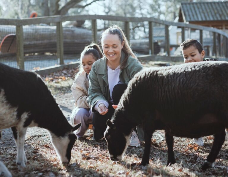 Stockholm with Kids: 12 Family-Friendly Things to Do