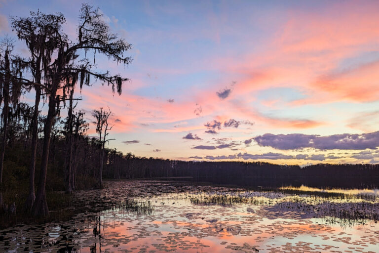 7 Unique Glamping Experiences in Central Florida