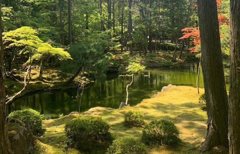 Best Ways to Discover the Moss Temple from Kyoto