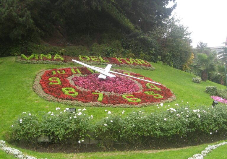 11 Unique Things to Do in Viña del Mar