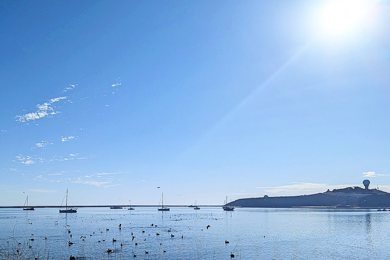 Sunny day Half Moon Bay, San Francisco Peninsula by Michael C. Upton