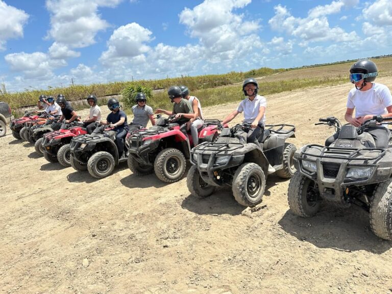 Editor Picks: The Best Miami ATV Tours