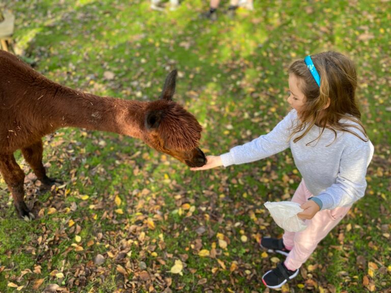 7 Unique Things to Do in Faversham, Kent