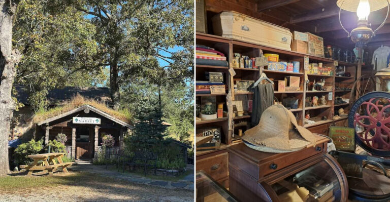 A Hidden Georgia Store Hides The Most Legendary Sandwiches You’ve Never Heard Of