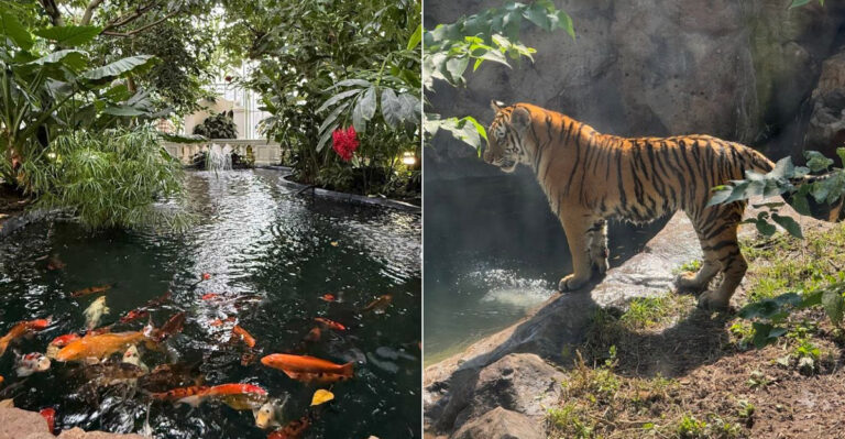 A Massive Free Zoo In Minnesota Is Drawing Visitors From All Over