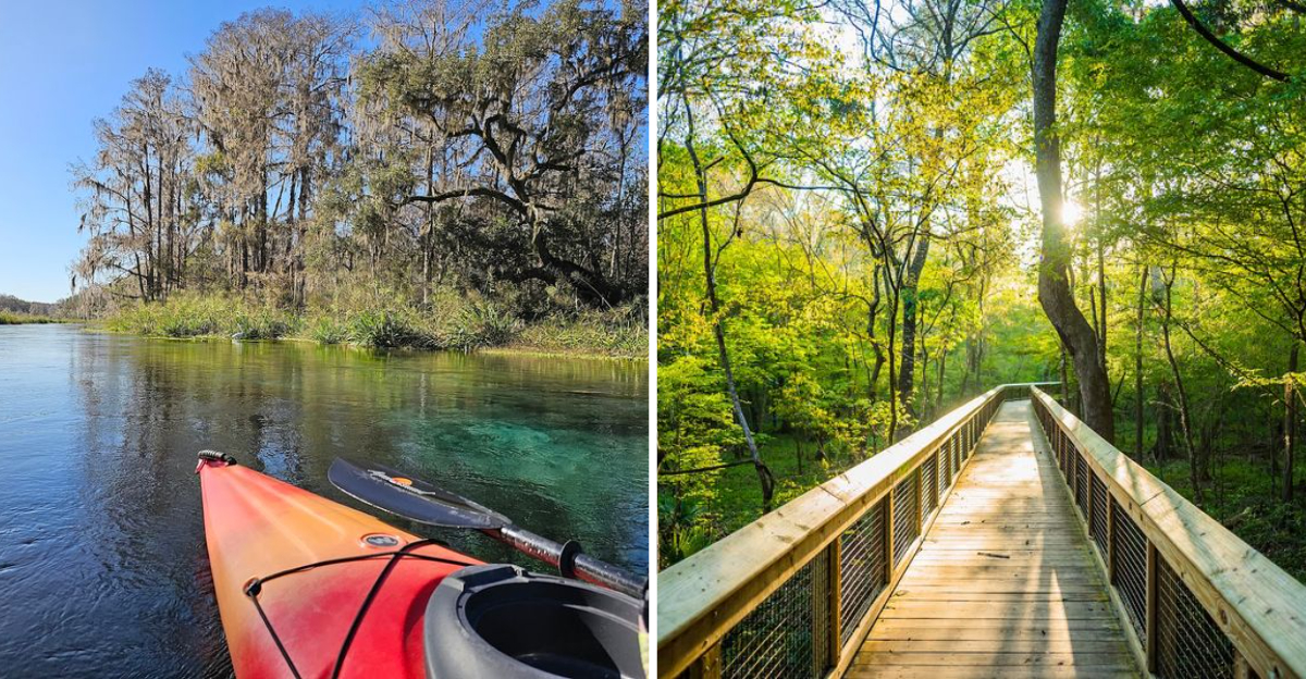 Drift Along Florida’s Serene Tubing River And Recharge Fully