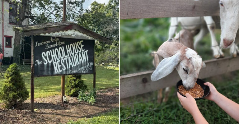 Everyone In Ohio Is Talking About This Must-Visit Mom-And-Pop Restaurant