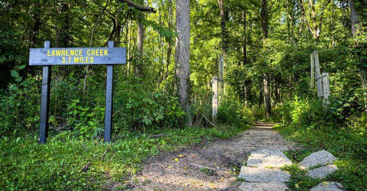 Spring Into Adventure With These 8 Easy Indiana Hikes