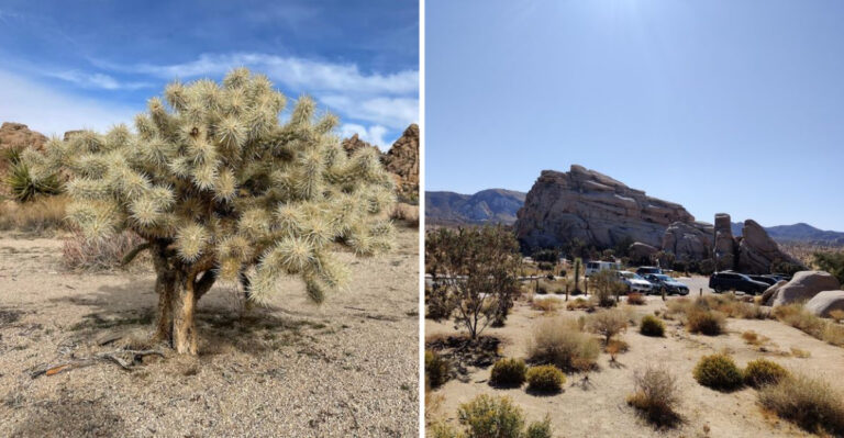 Take A 1-Mile Walk In California That Feels Unreal